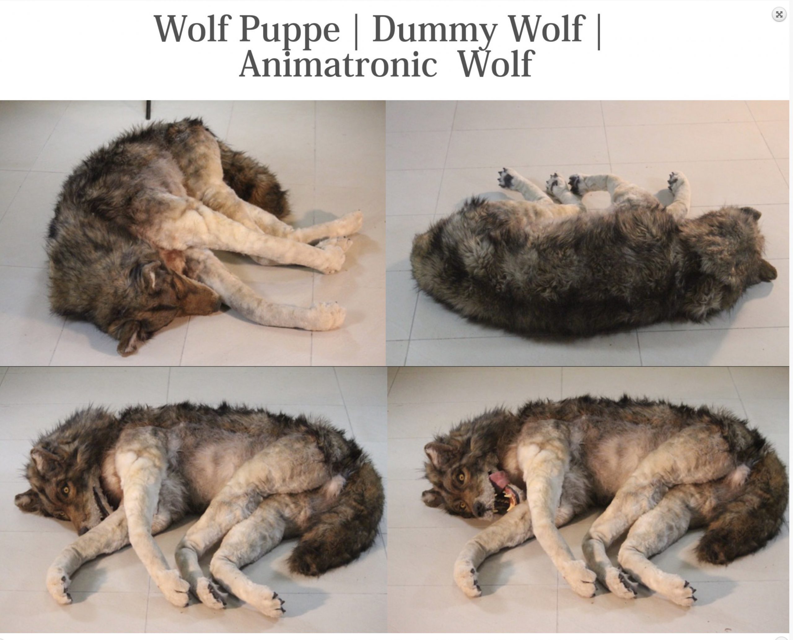 Wolf Dummy
